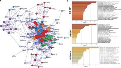 Cyclin-Dependent Kinase 6 Identified as the Target Protein in the Antitumor Activity of Tetrastigma hemsleyanum